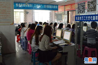 萬江地區(qū)計(jì)算機(jī)技術(shù)培訓(xùn)指南 掌握數(shù)字時(shí)代的核心競(jìng)爭力